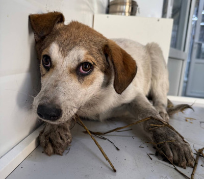 Иркутск 1036/25