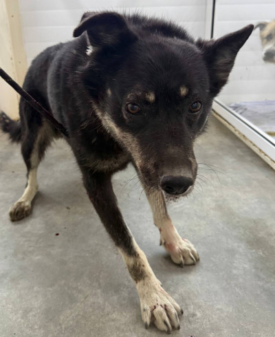 Иркутск 1040/25