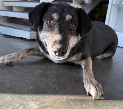 Иркутск 1042/25