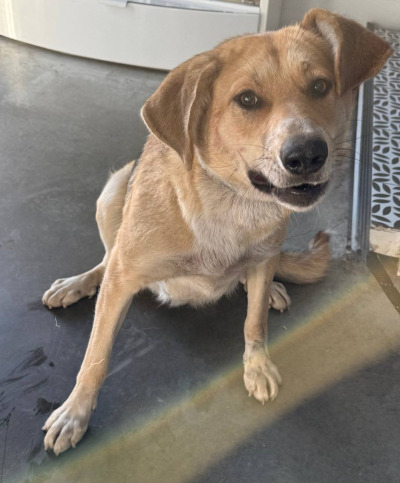 Иркутск 1043/25