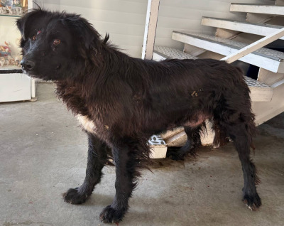 Иркутск 1044/25