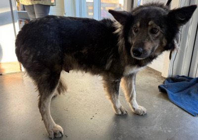 Иркутск 1045/25