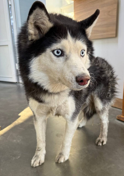 Иркутск 1046/25