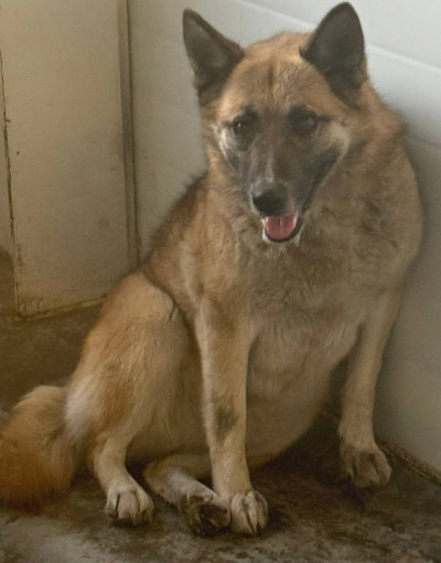 Иркутск 1048/25