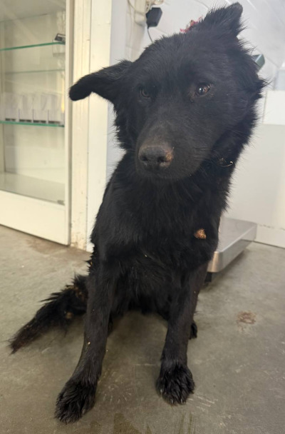 Иркутск 1050/25