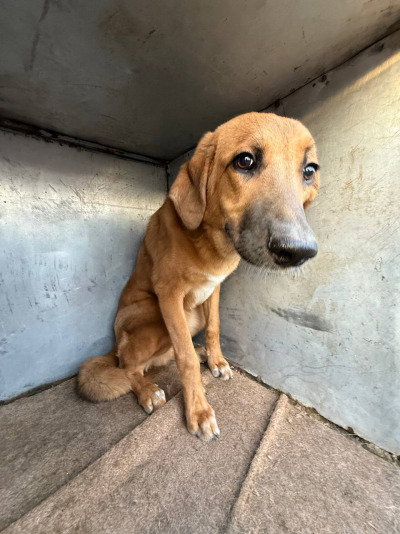 Иркутск 1051/25