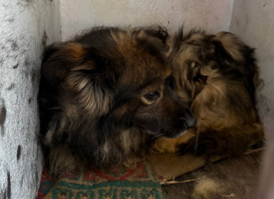 Иркутск 1052/25