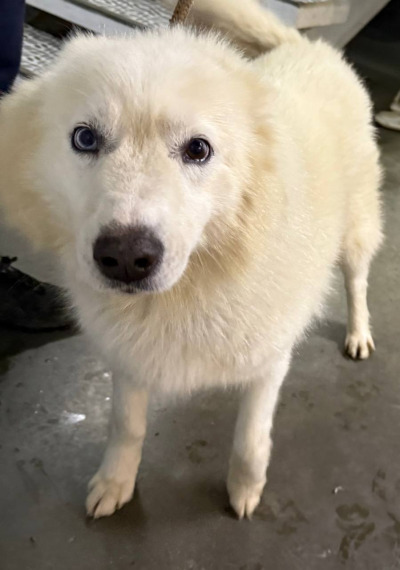 Иркутск 1053/25