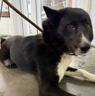 Иркутск 1054/25