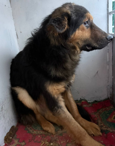 Иркутск 1056/25