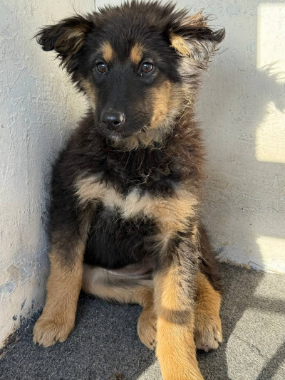 Иркутск 1058/25