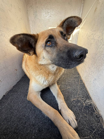 Иркутск 1059/25