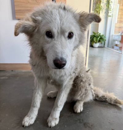 Иркутск 1060/25