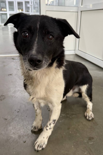 Иркутск 1061/25