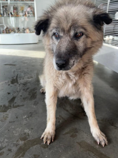 Иркутск 1068/25