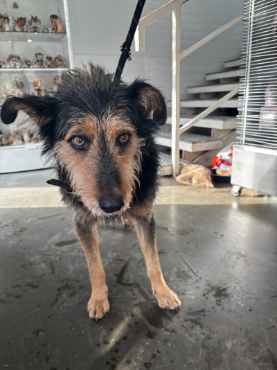 Иркутск 1069/25