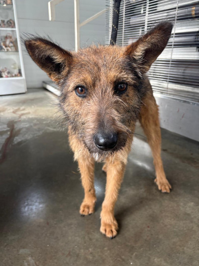 Иркутск 1071/25