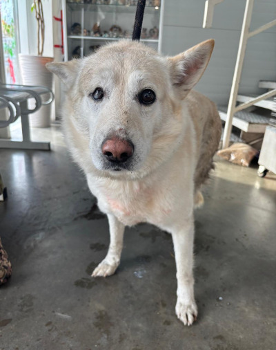 Иркутск 1073/25