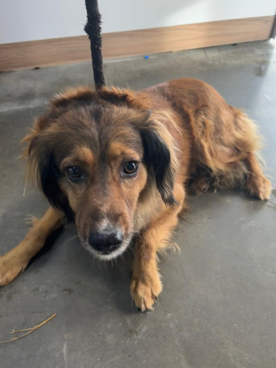 Иркутск 1075/25