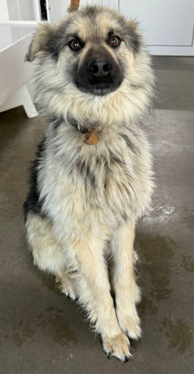 Иркутск 1079/25