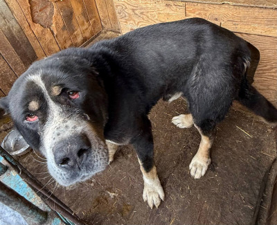 Иркутск 1081\25