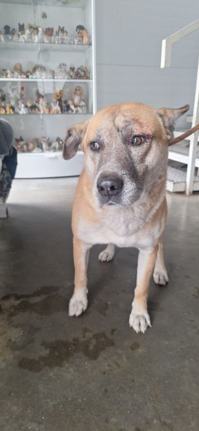 Иркутск 1083/25