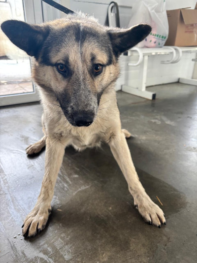 Иркутск 1085/25