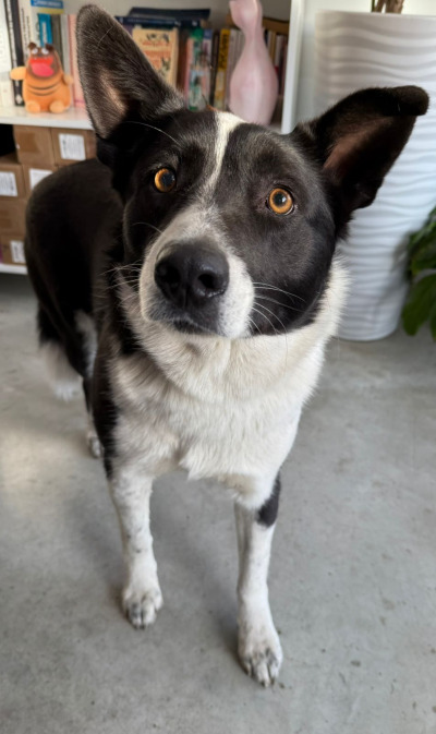 Усолье-Сибирское 1/25