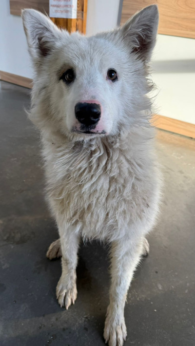 Усолье-Сибирское 2/25