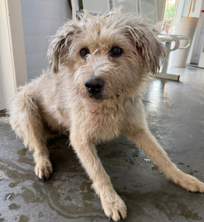 Усолье-Сибирское 5/25