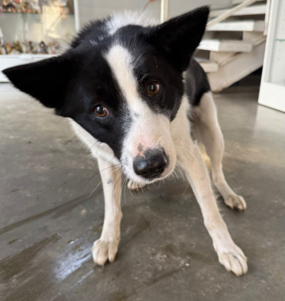 Усолье-Сибирское 6/25