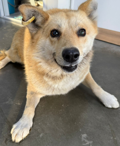 Усолье-Сибирское 7/25