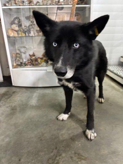 Усолье-Сибирское 10/25