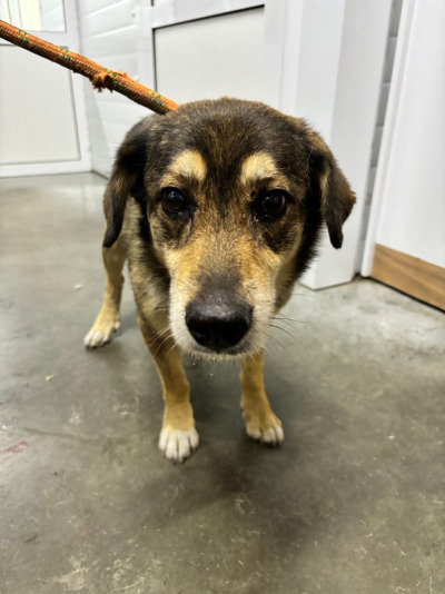 Усолье-Сибирское 12/25