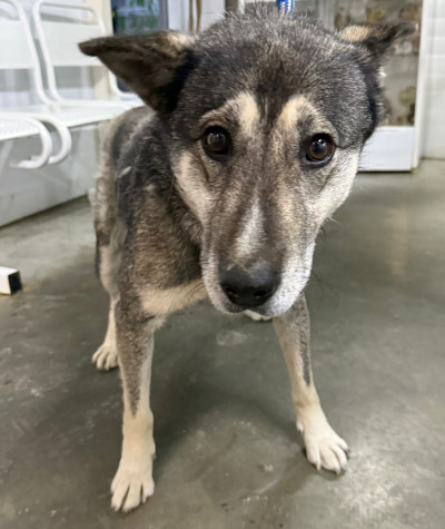 Усолье-Сибирское 16/25