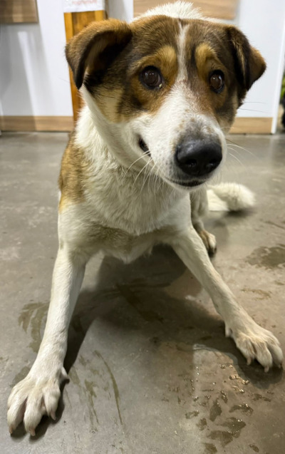 Усолье-сибирское 19/25