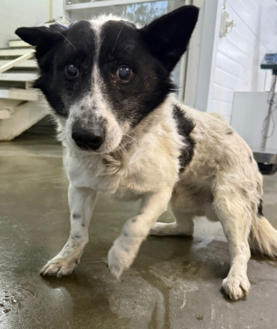 Усолье-Сибирское 20/25