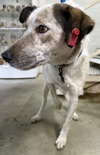 Усолье-Сибирское 23/25