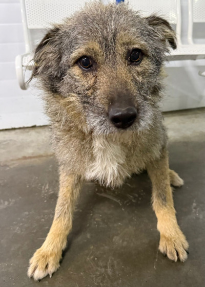 Усолье-Сибирское 24/25