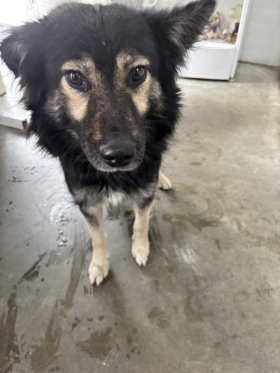 Усолье-Сибирское 27/25