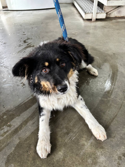 Усолье-Сибирское 30/25