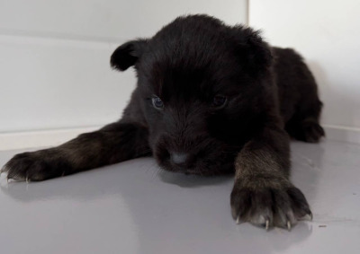 Бодайбо и район  60(4)\26